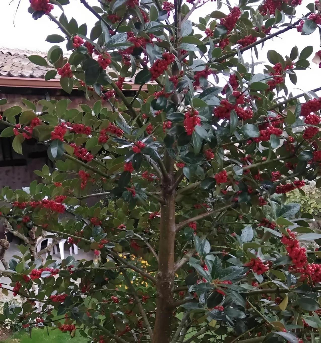 Casa Rural El Fresno Del Abuelo Ла-Куэста Экстерьер фото